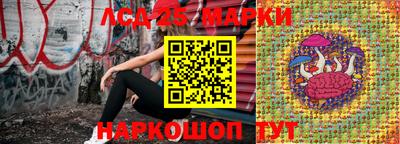 твердый Будённовск