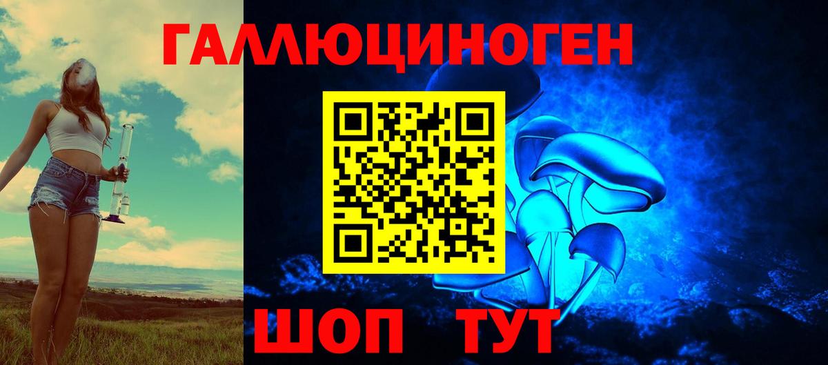 Галлюциногенные грибы GOLDEN TEACHER  Псилоцибиновые грибы прущие грибы  Вход с VPN  Саянск 